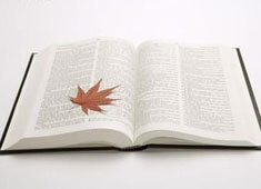 公牛队战胜黄蜂队：全队发挥出色，再现绝佳状态